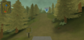 Blueberry-thicket-8.png